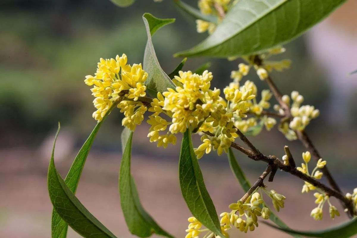 ļ 20190506123554_87426.jpg