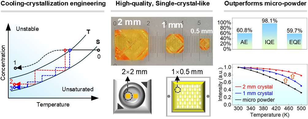 For Table of Contents Only-2025-11-14.jpg