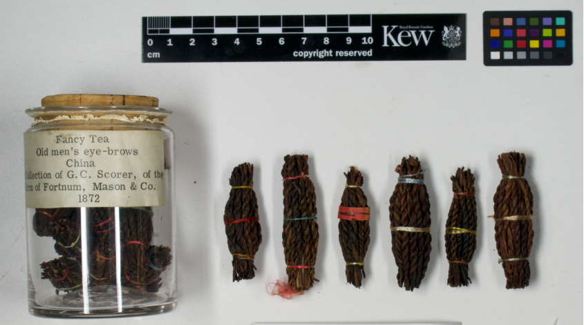 1 ղر732181872ꡰü衱.png