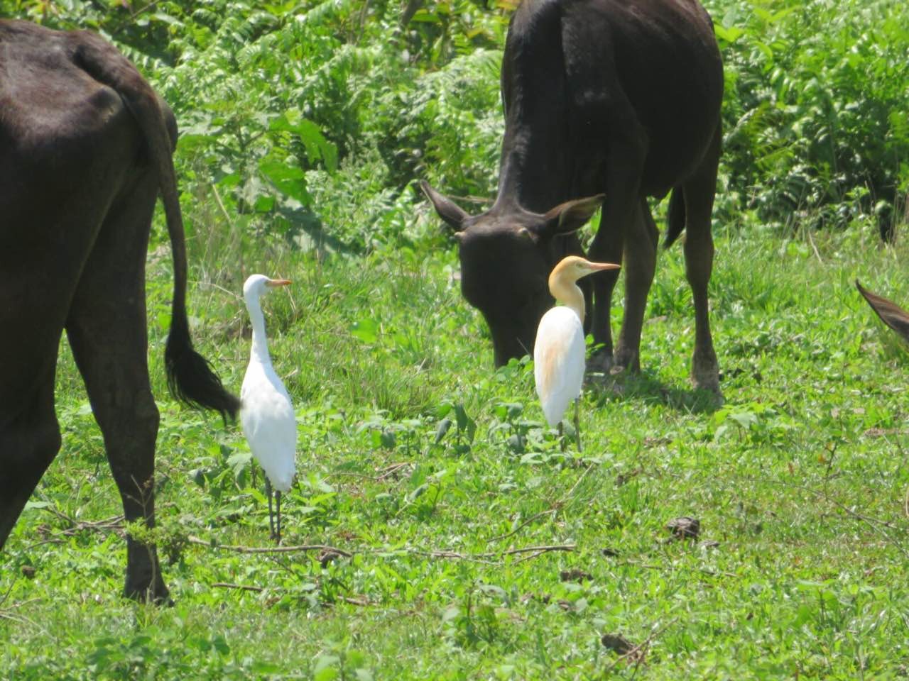 195517jud56j6u3ldjt02k (1).jpg