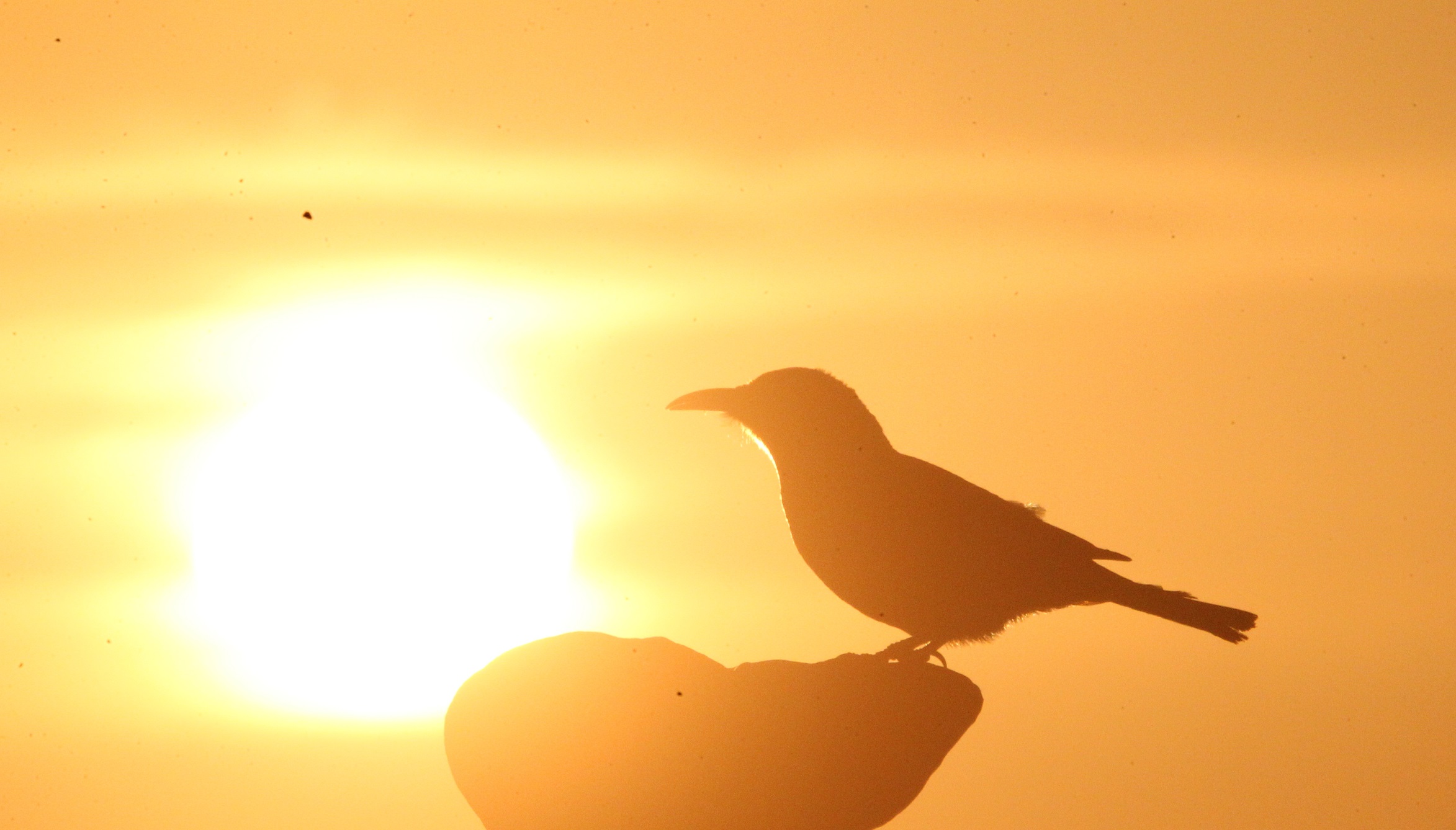 IMG_0135 by MaMing ճѻ  .jpg