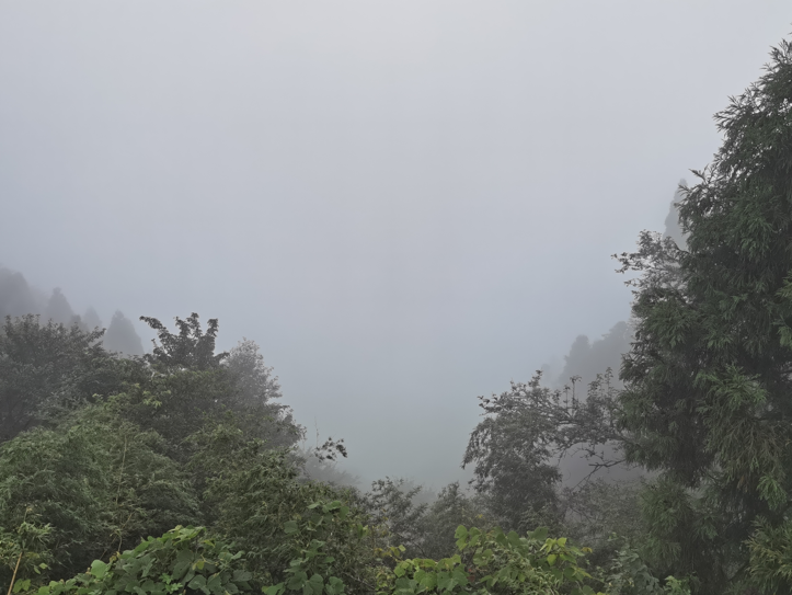 井冈山之雾中黄洋界及其博物馆27.jpg