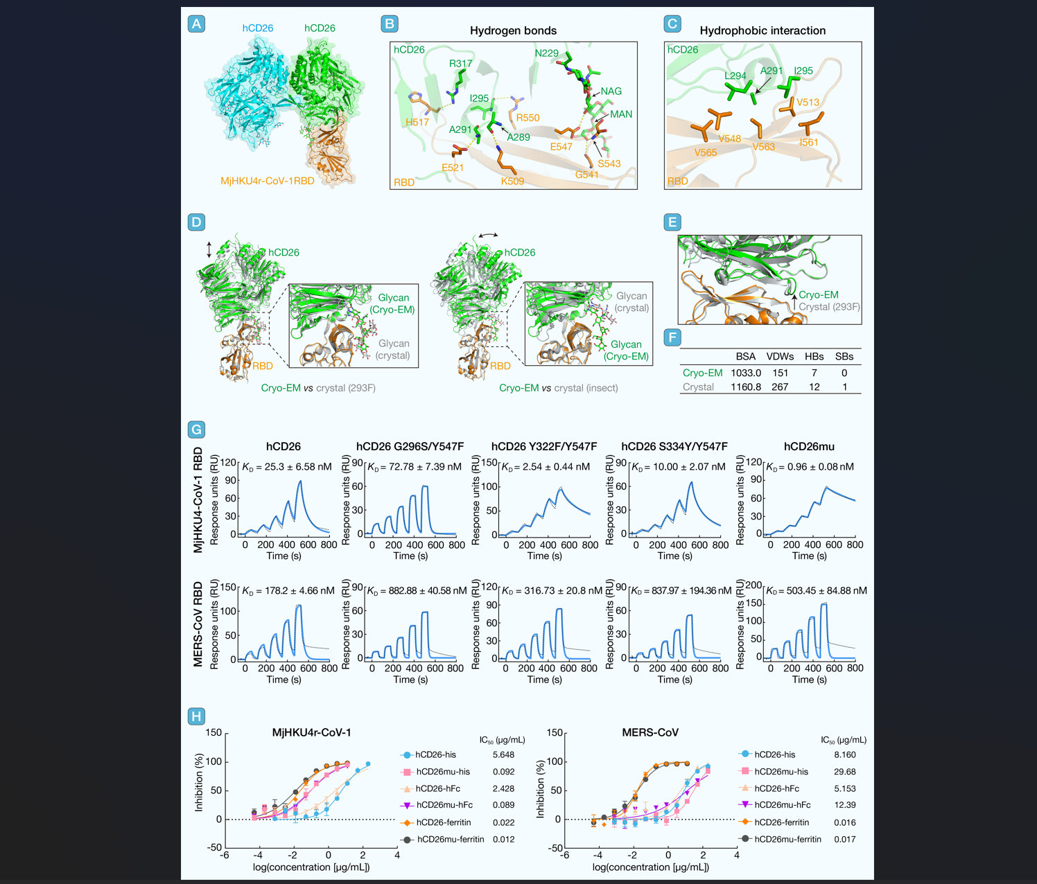 屏幕截图 2025-11-25 110244.png