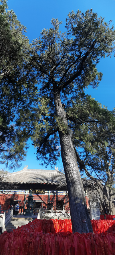北京红螺寺15.jpg