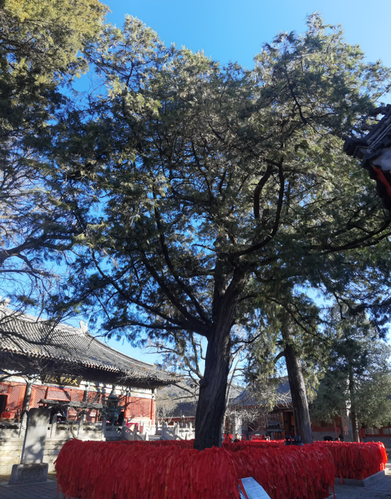 北京红螺寺16.jpg