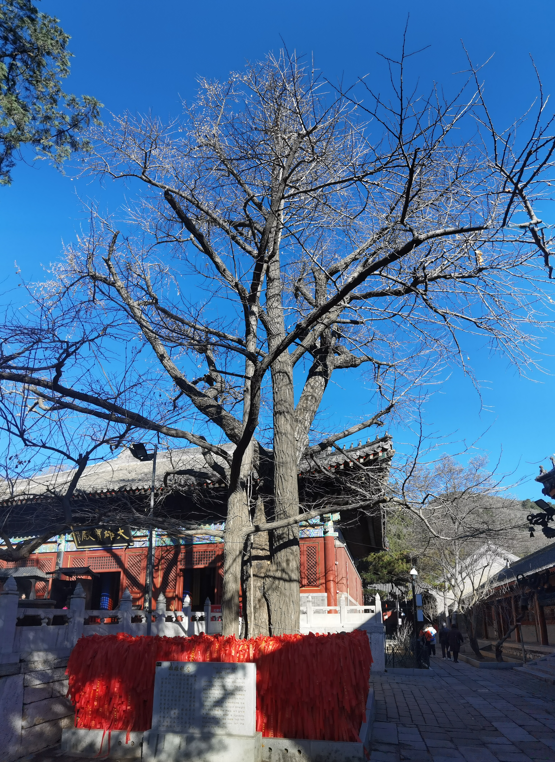 北京红螺寺19.jpg