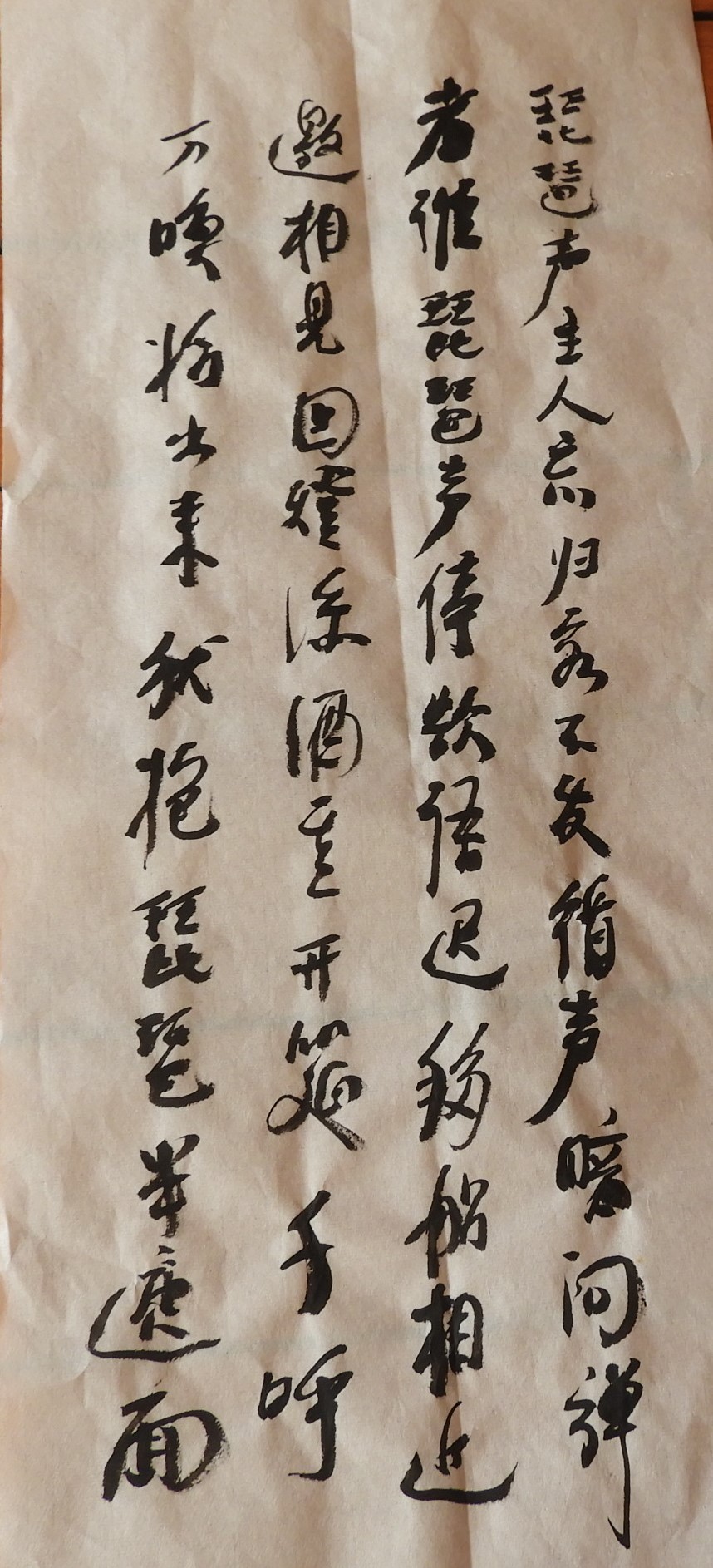 D琵琶声主人忘归客 SCN1995.JPG