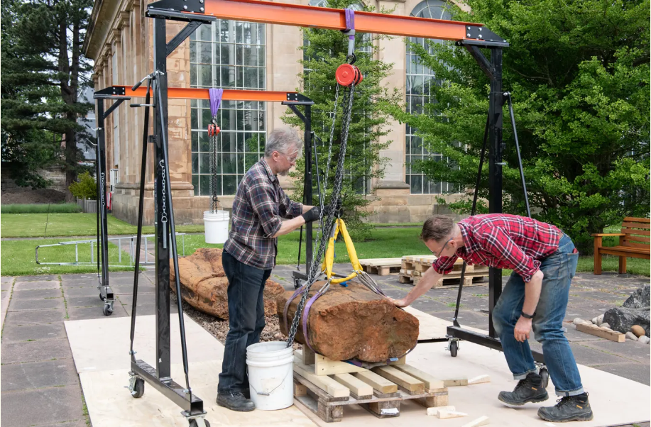 ׸˹ާPitys withamiiˣ2021.png