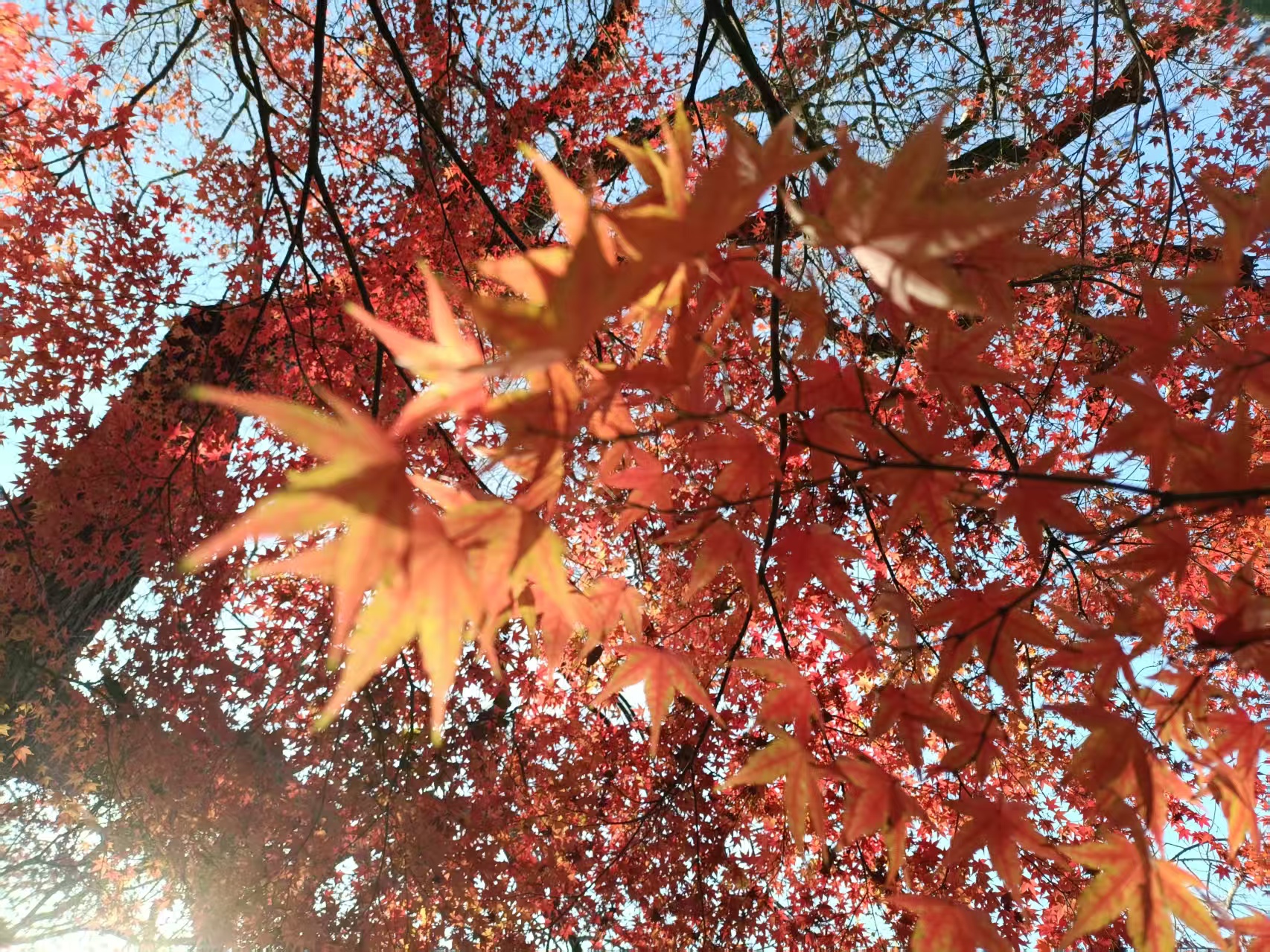 微信图片_20251215084341_271_93.jpg 微信图片_20251215084341_271_93.jpg