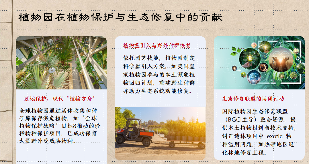 010 ֲ��԰��ֲ�ﱣ������̬�޸��еĹ���.png