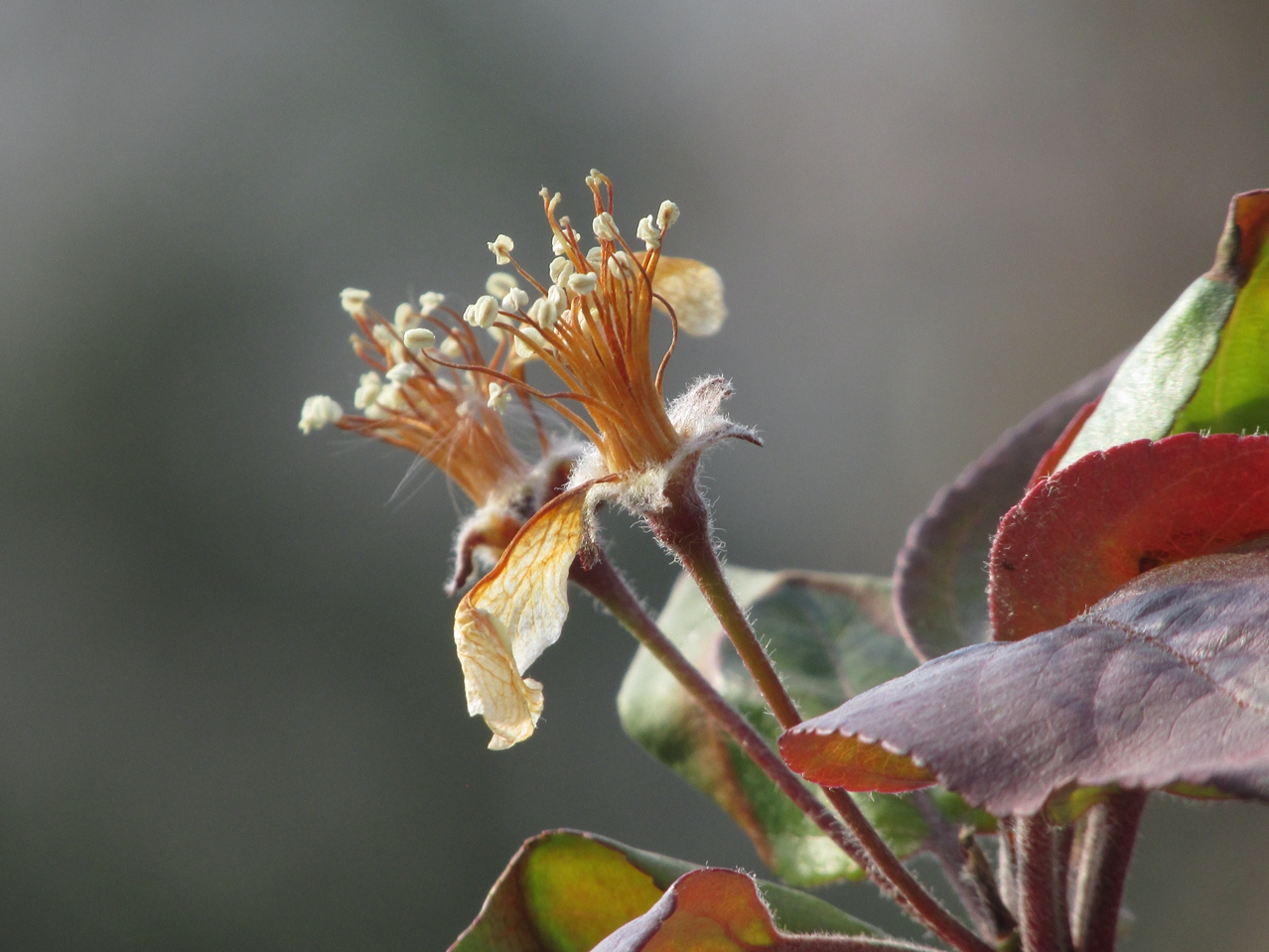 ������ 03 IMG_5059_����.jpg