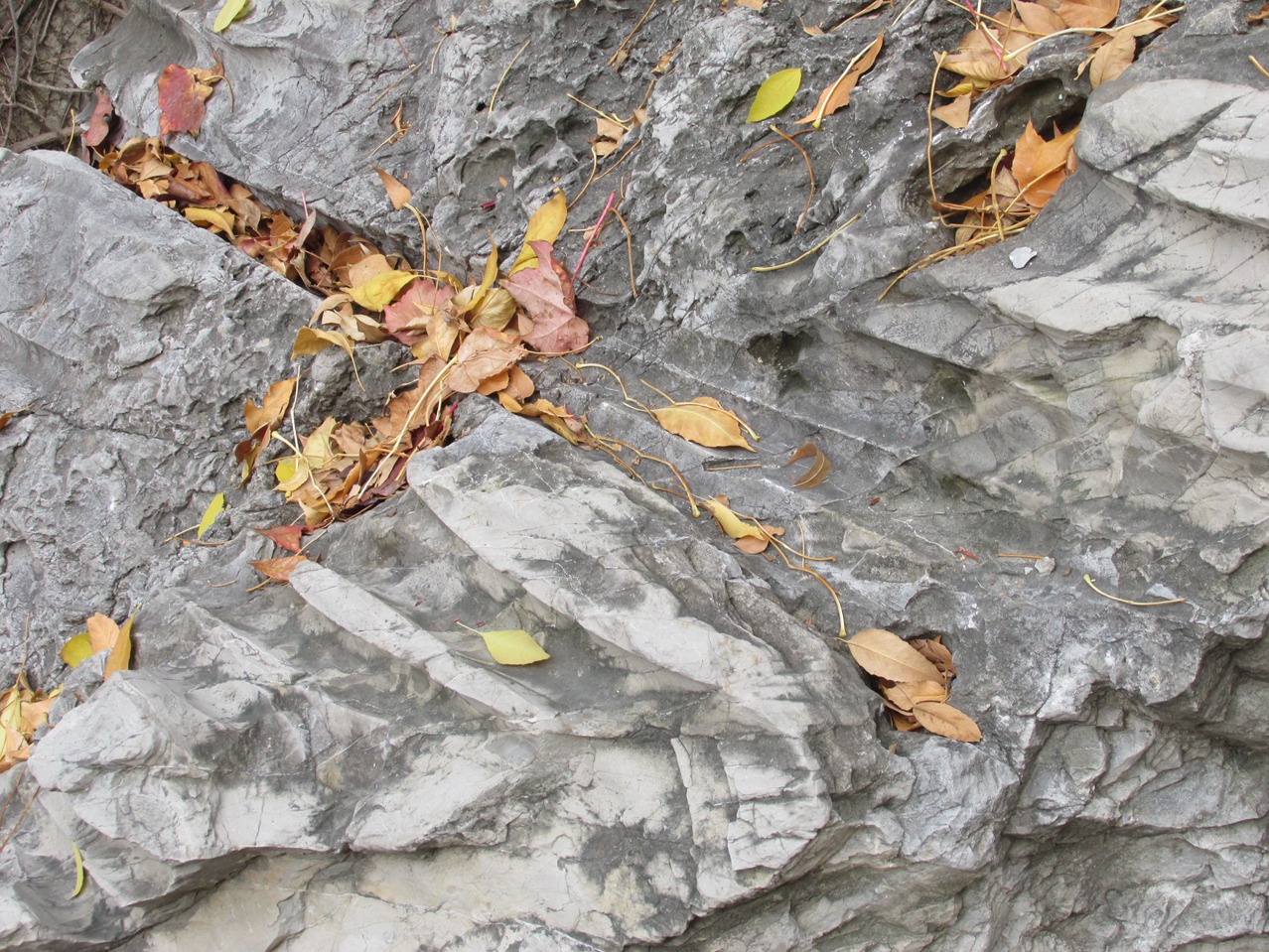 �˷�ʯ 07 IMG_1588_����.jpg