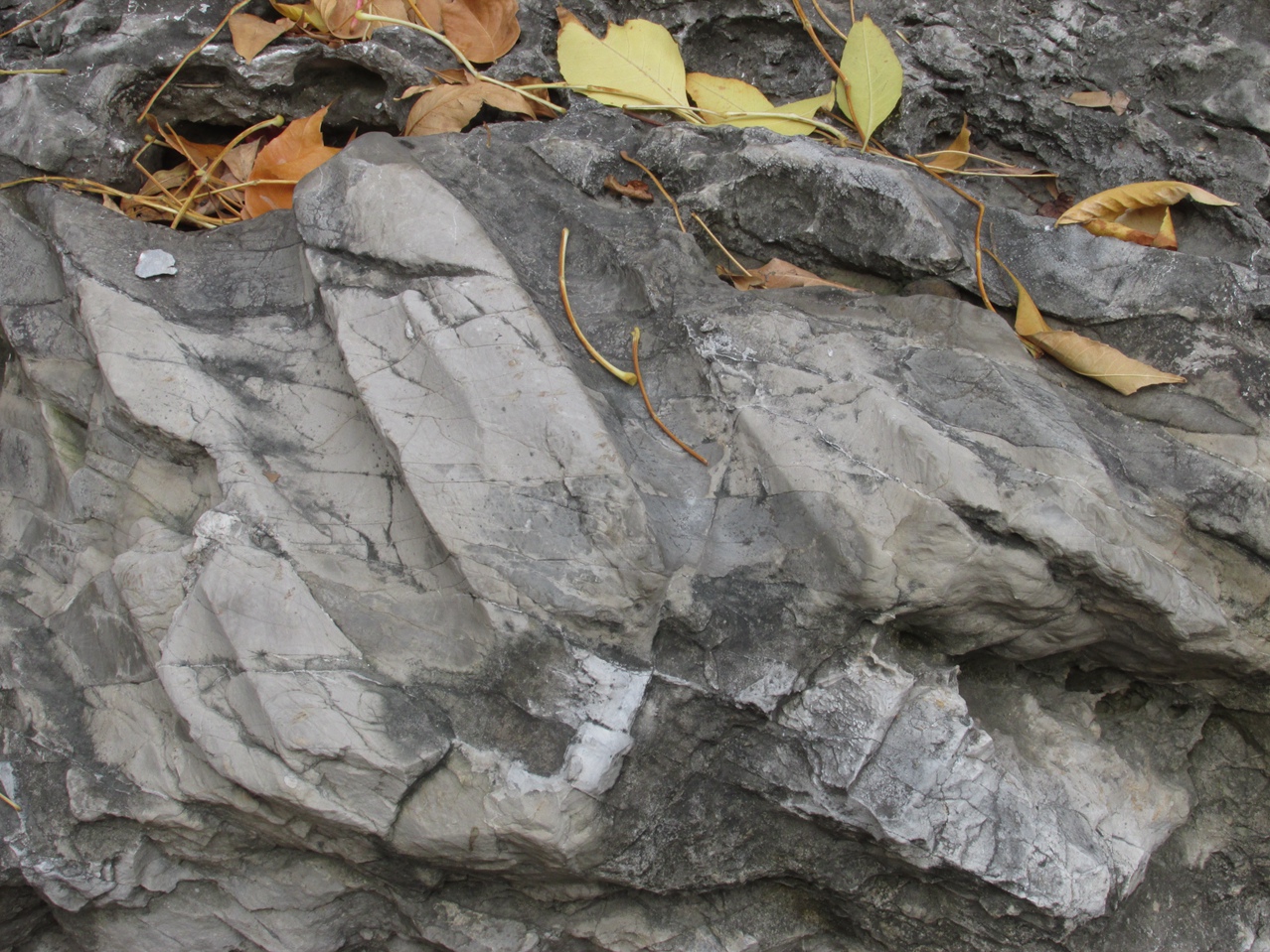 �˷�ʯ 08 IMG_1594_����.jpg