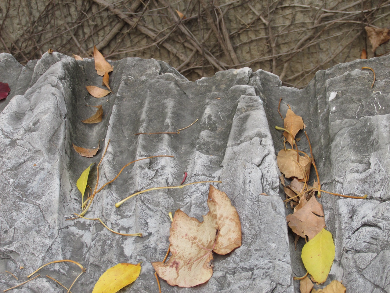 �˷�ʯ 09 IMG_1599_����.jpg