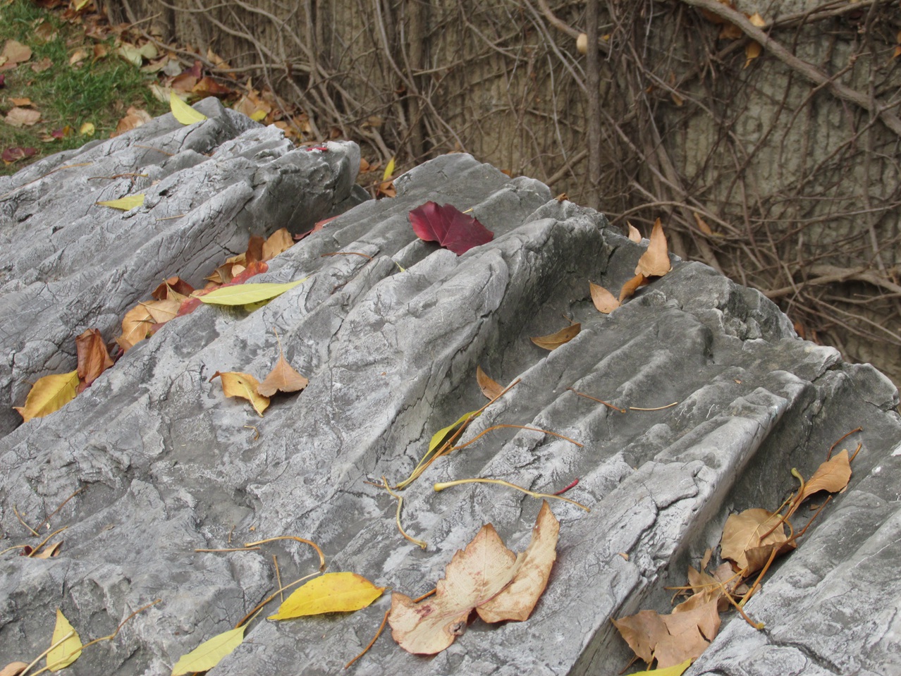 �˷�ʯ 10 IMG_1603_����.jpg