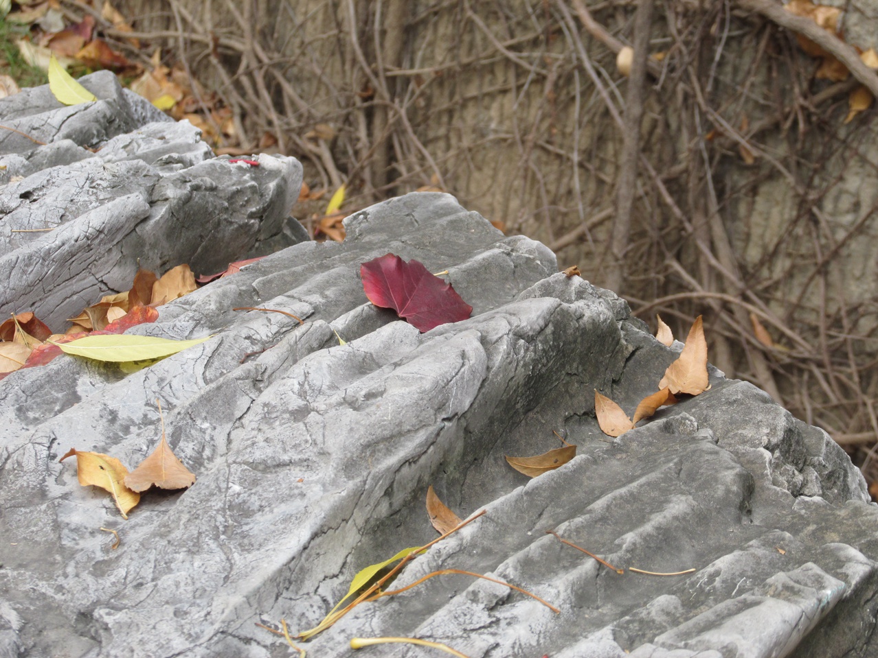 �˷�ʯ 11 IMG_1607_����.jpg