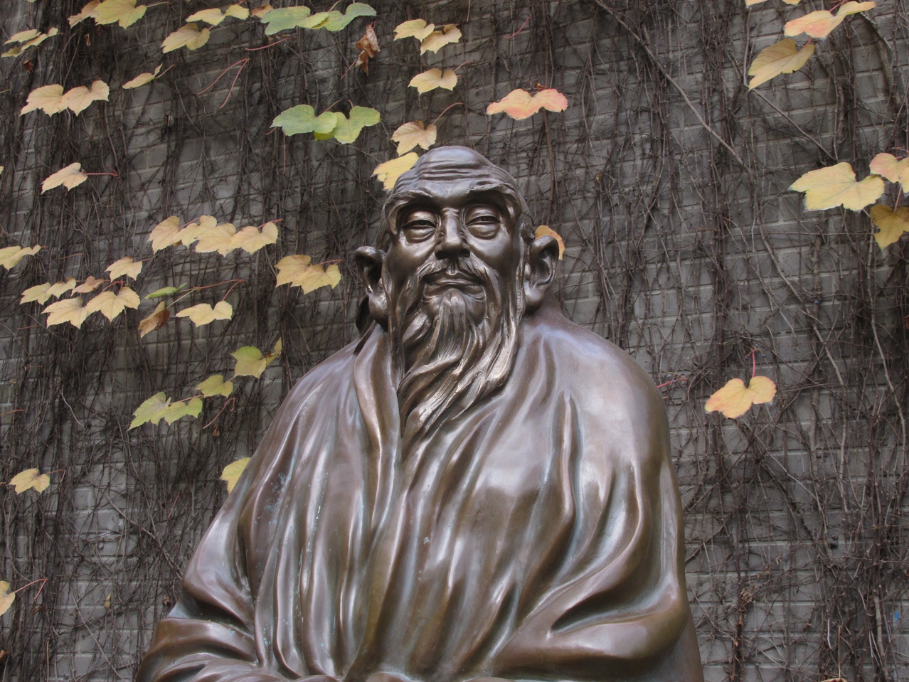 ���� 01 IMG_1521_����.jpg