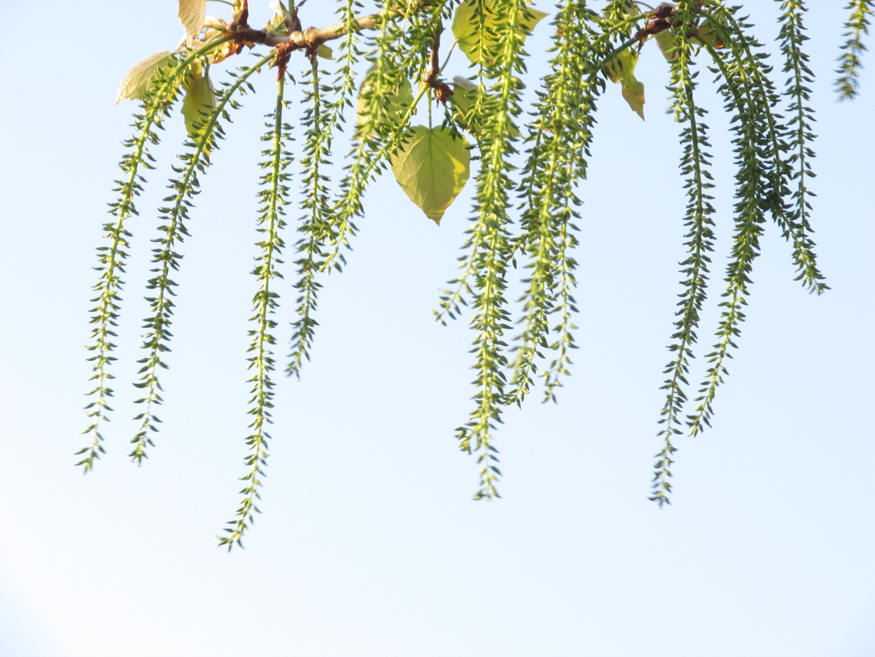 ������ 03 IMG_3382_����.jpg