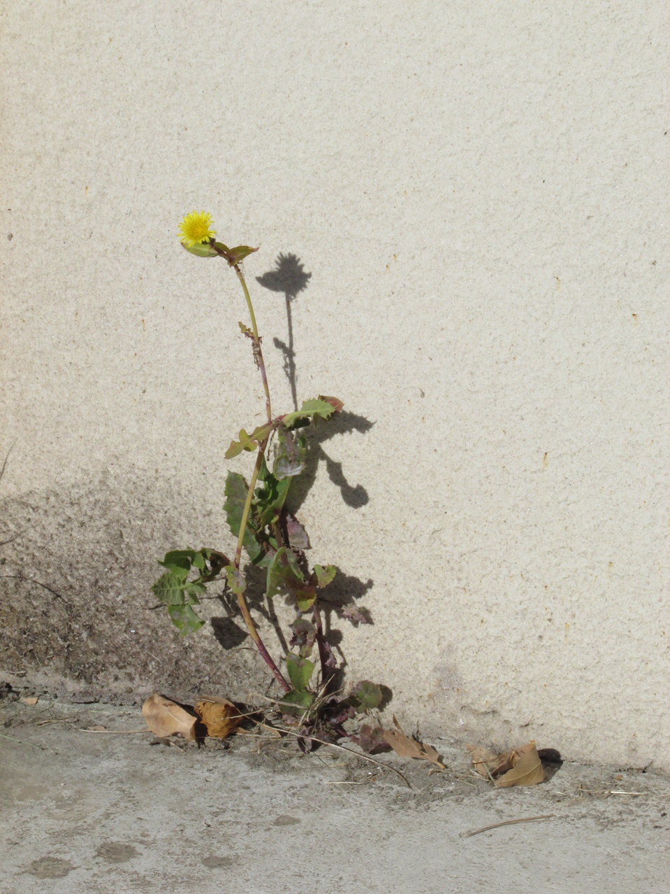 �� 01 IMG_5443_����.jpg