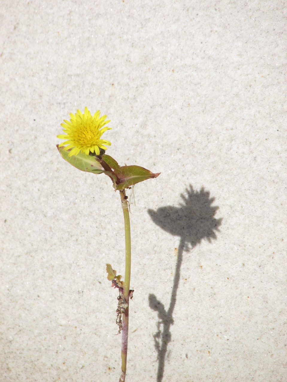 �� 03 IMG_5455_����.jpg