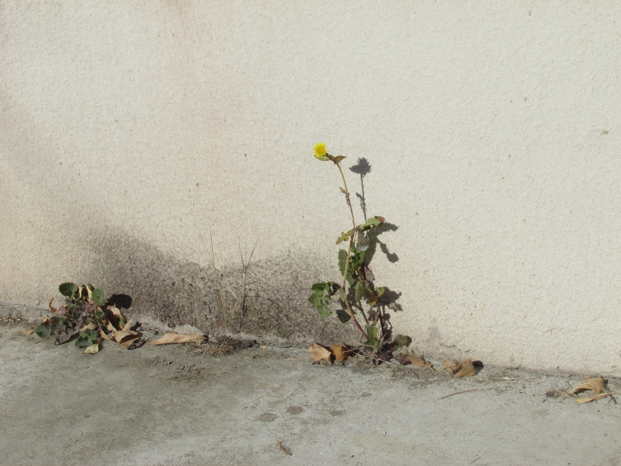 �� 04 IMG_5461_����.jpg