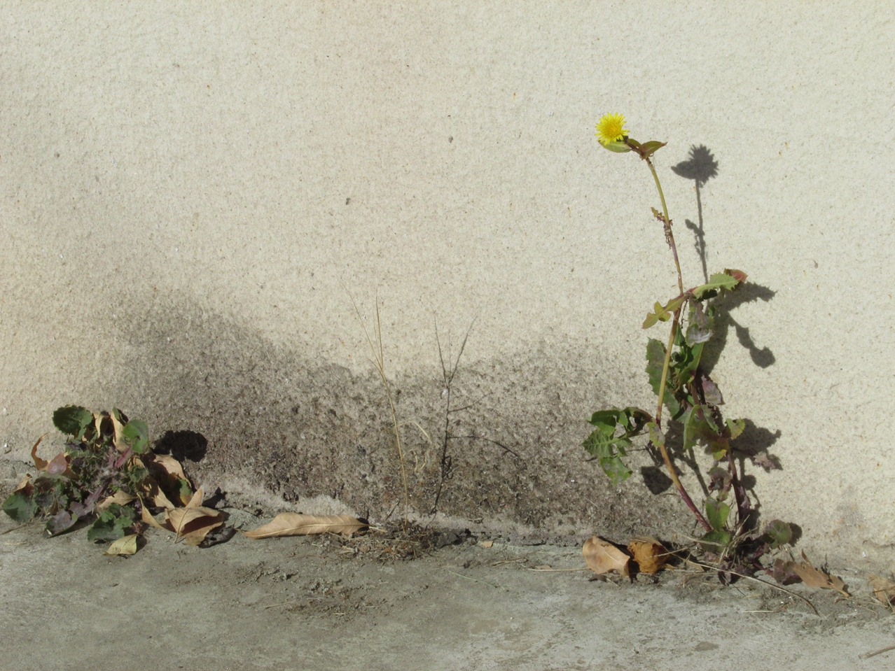 �� 05 IMG_5469_����.jpg