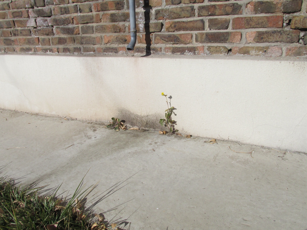 �� 06 IMG_5472_����.jpg