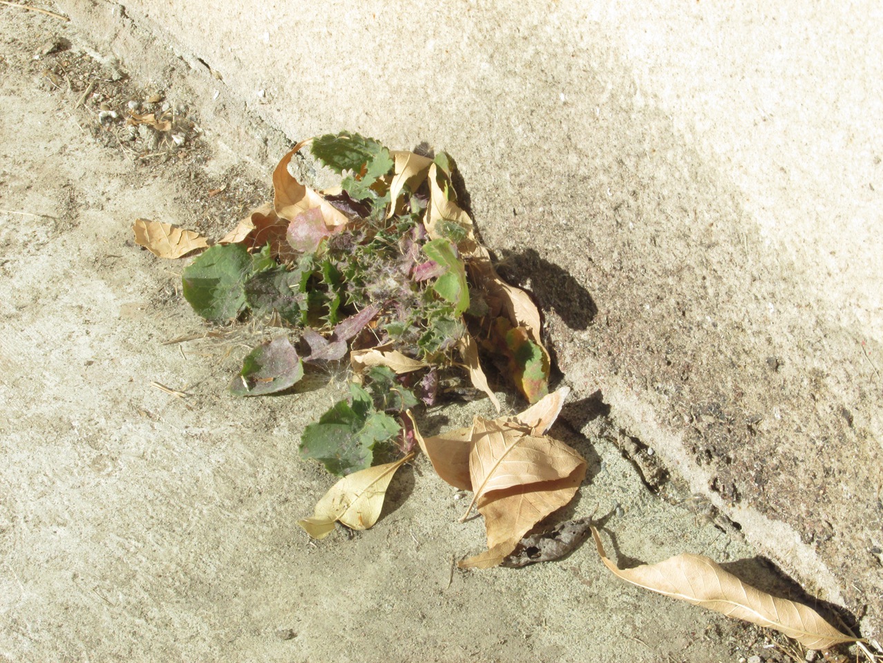 �� 07 IMG_5479_����.jpg