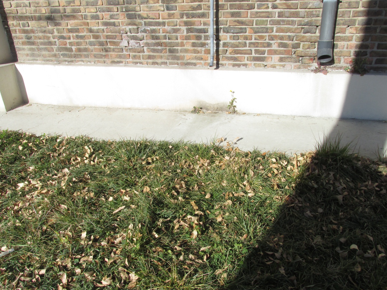 �� 08 IMG_5481_����.jpg