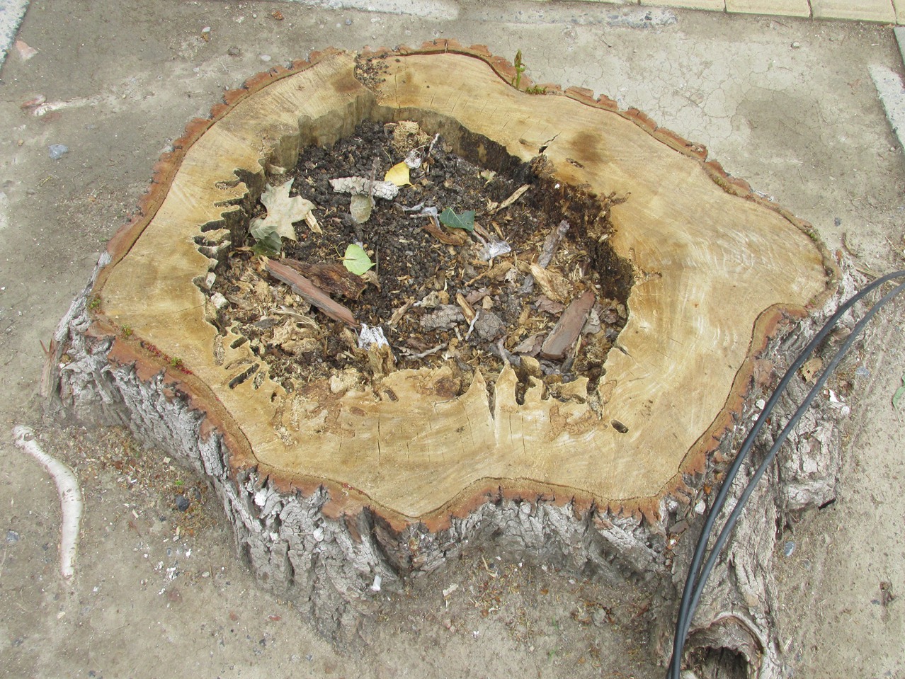 �� 01 IMG_3821_����.jpg