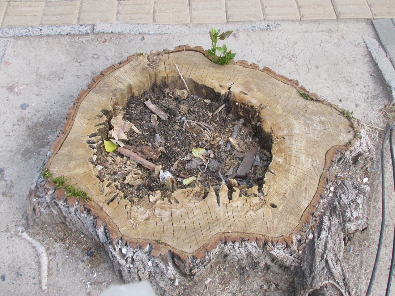 �� 02 IMG_3961_����.jpg