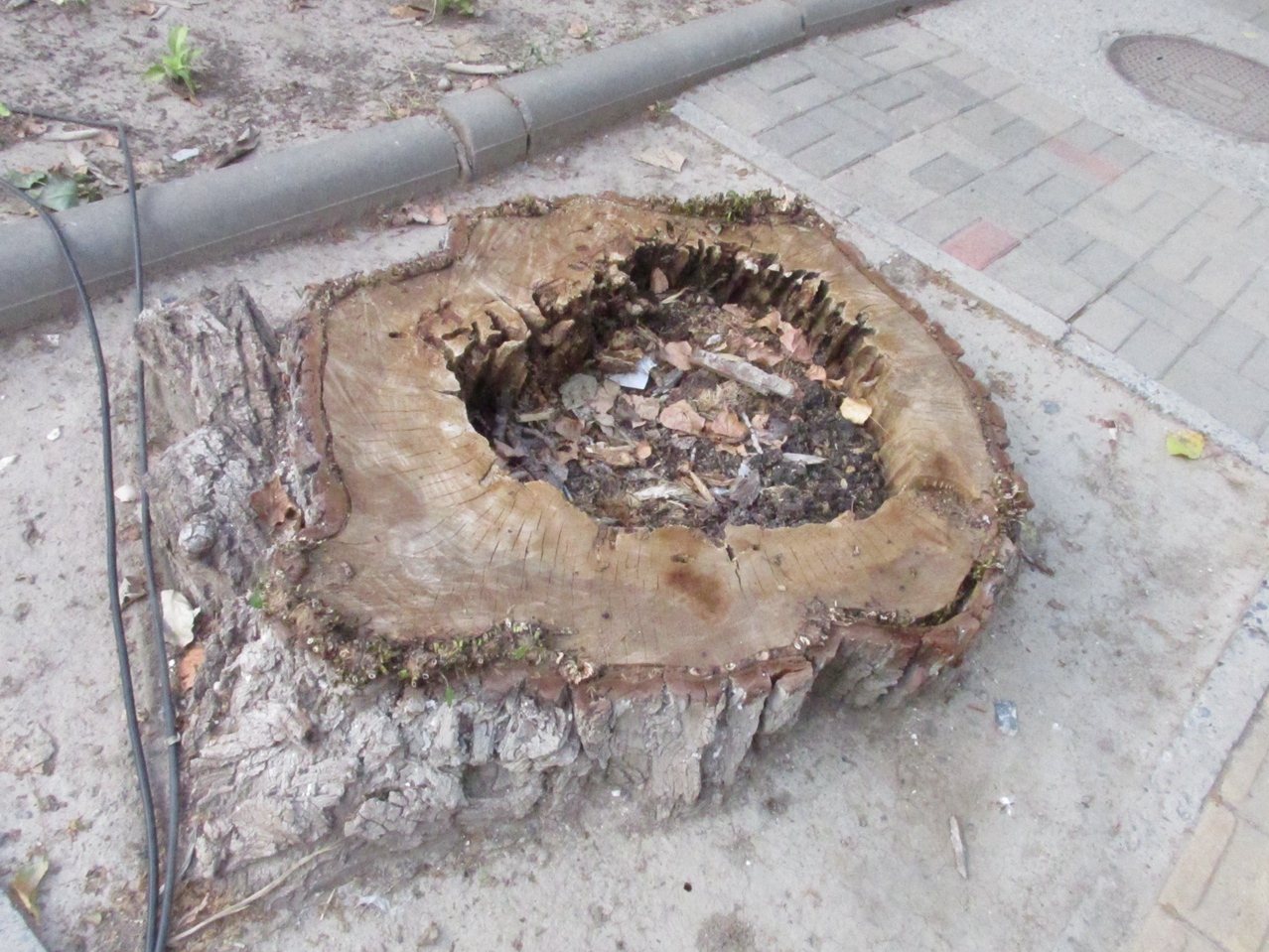 �� 05 IMG_5349_����.jpg