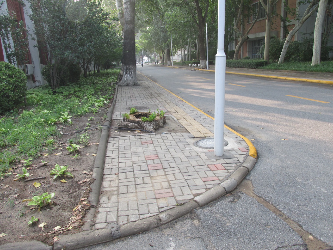 �� 06 IMG_6085_����.jpg