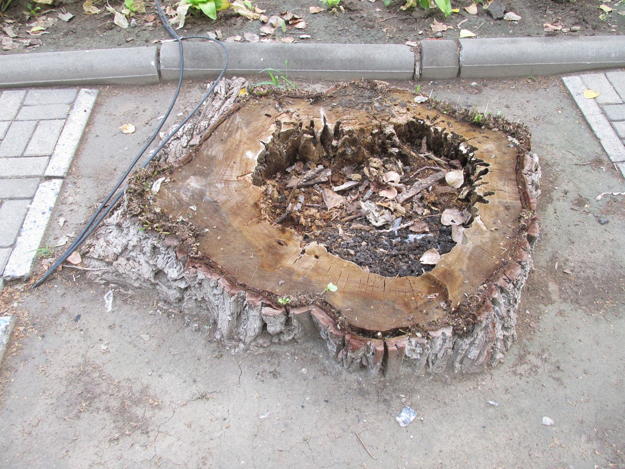 �� 11 IMG_6841_����.jpg