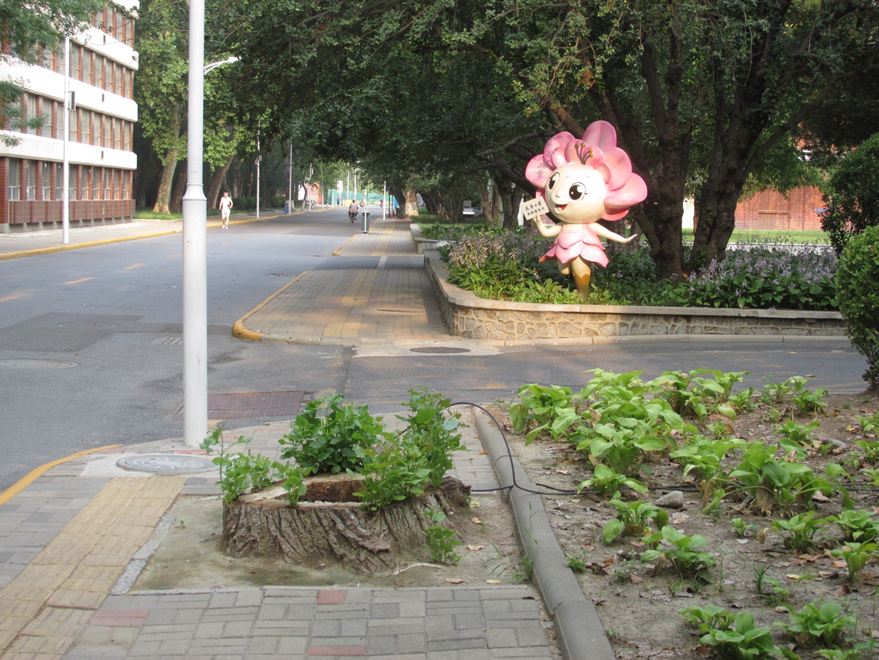 �� 12 IMG_7405_����.jpg