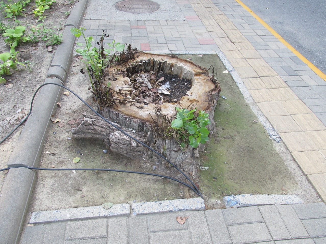 �� 14 IMG_7627_����.jpg