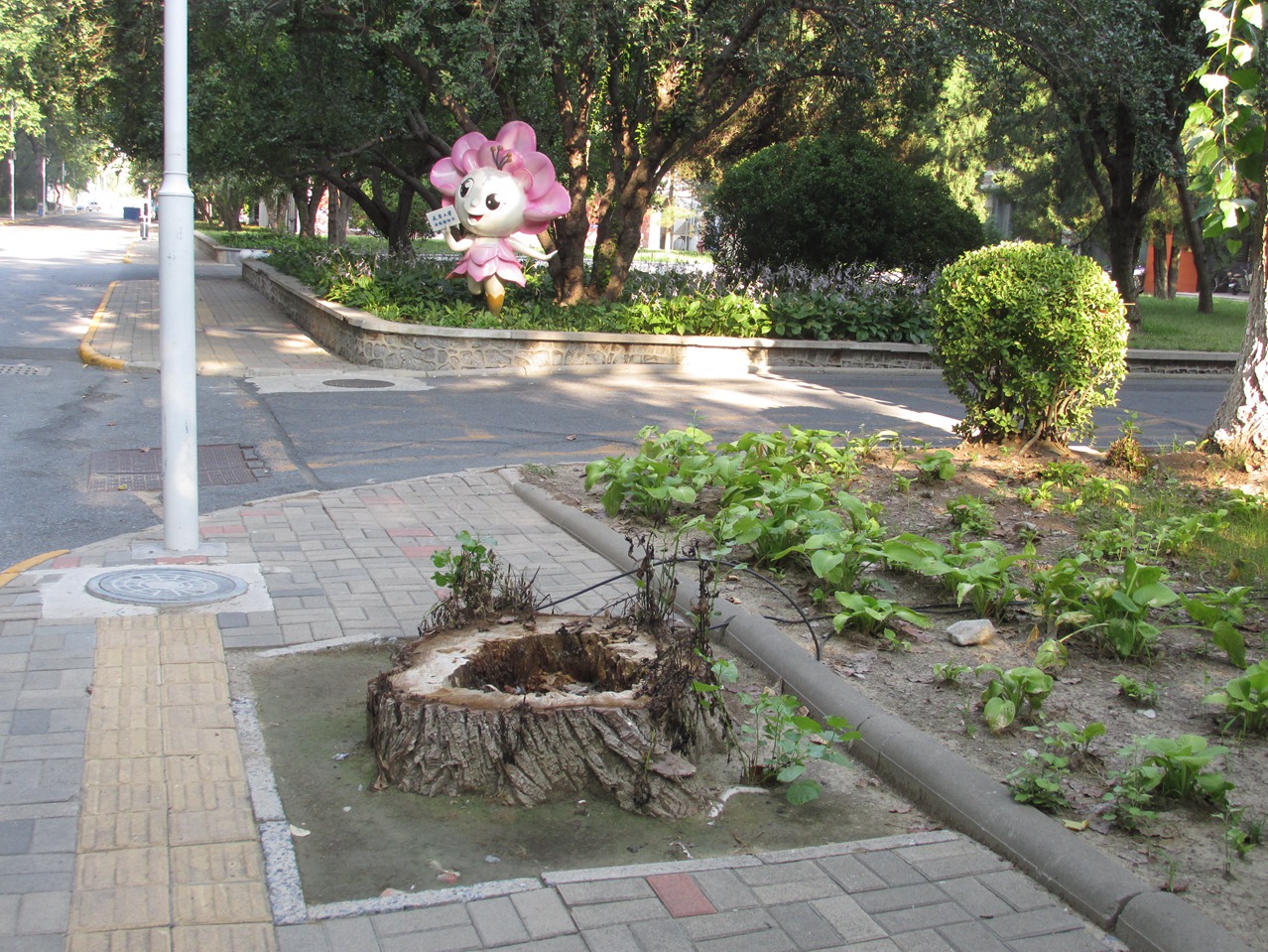 �� 15 IMG_7634_����.jpg