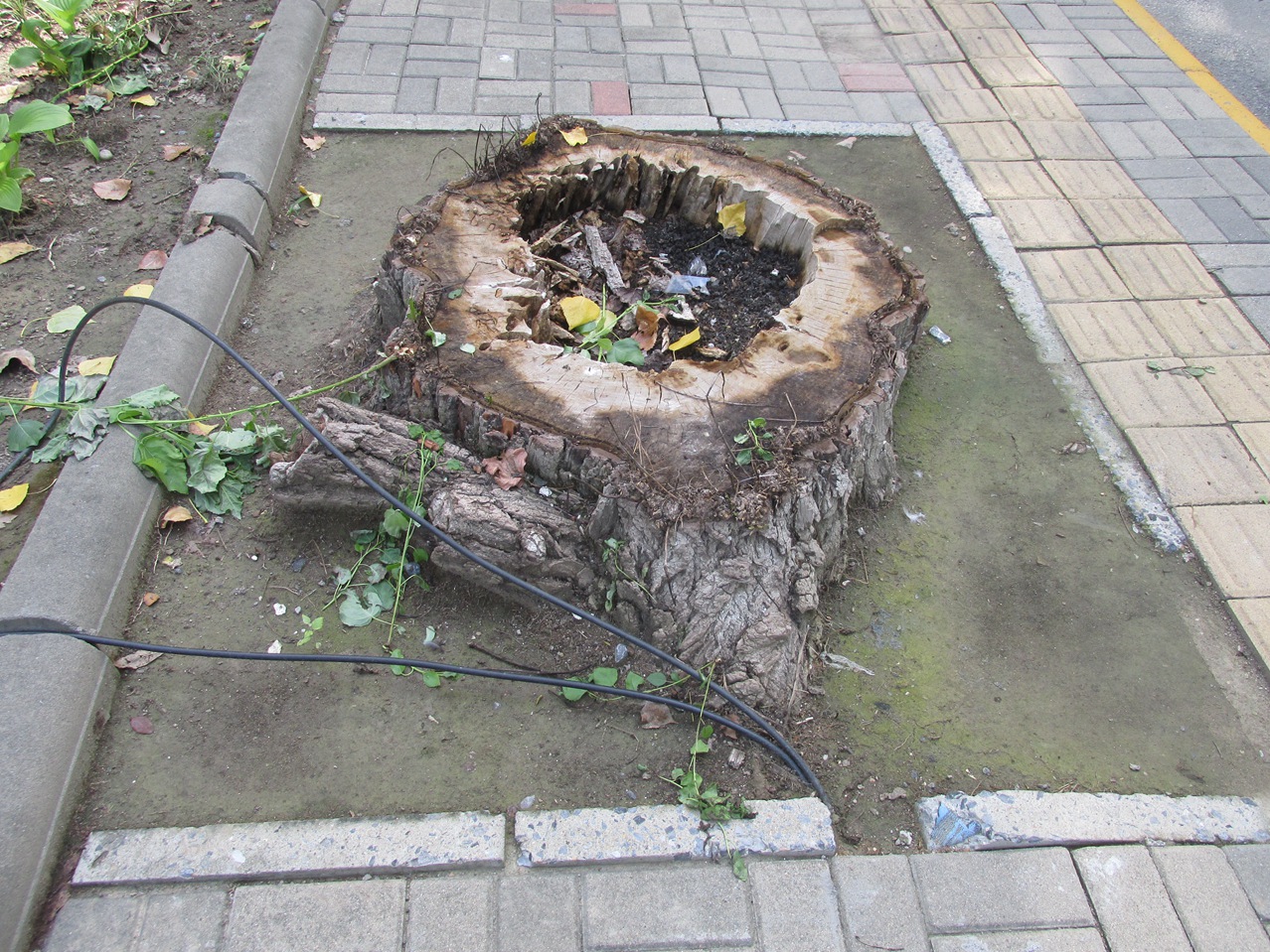 �� 16 IMG_8159_����.jpg