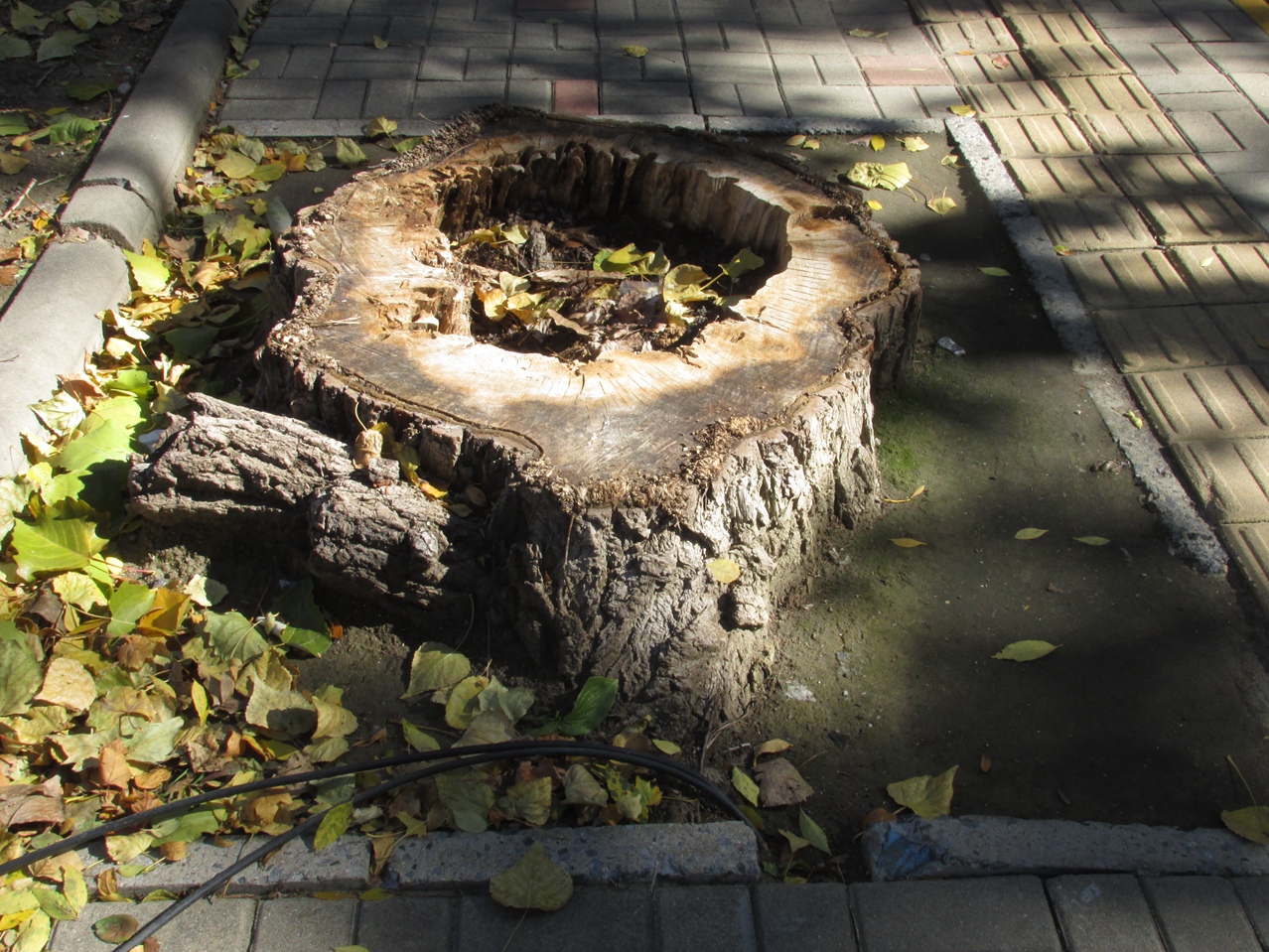 �� 18 IMG_1200_����.jpg