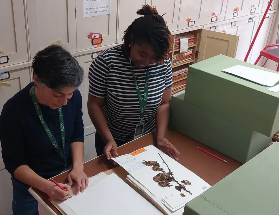 图4 植物鉴定与标本馆管理是科研和保护工作的基础.png