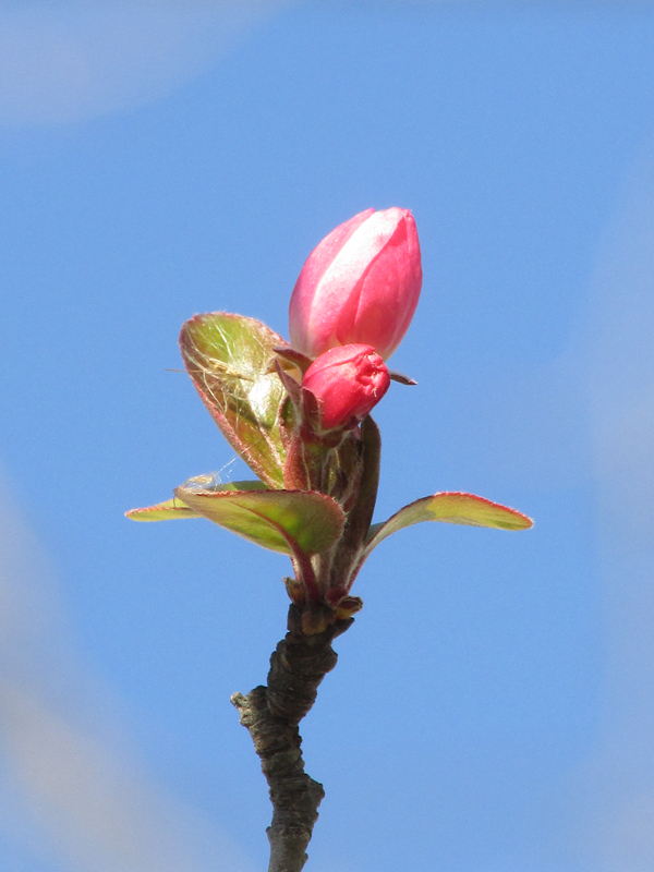 �������������Ļ� С IMG_6022_����.jpg