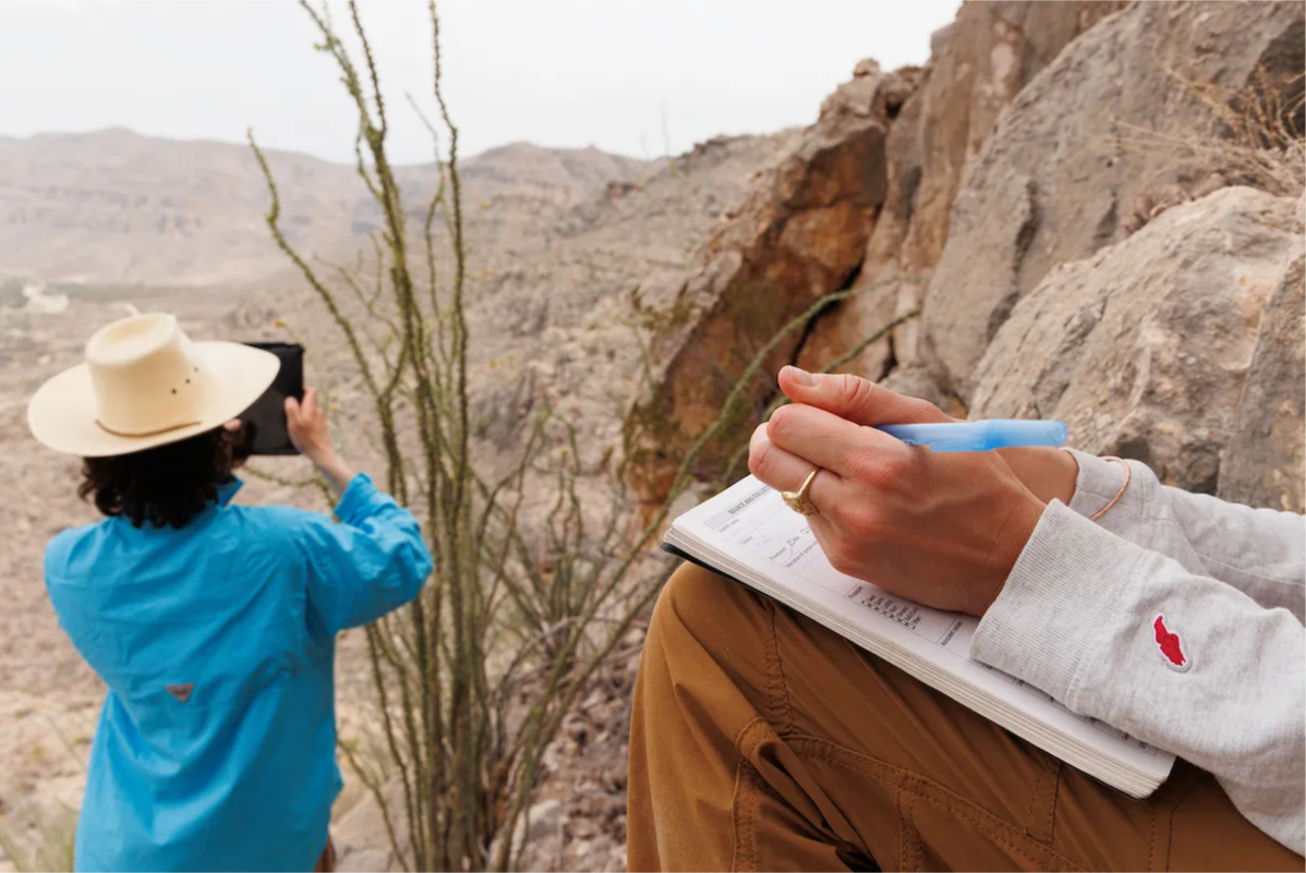 ͼ6 ԰��԰�Թ�������������ɳĮ��Ѱ����ֲ��.png