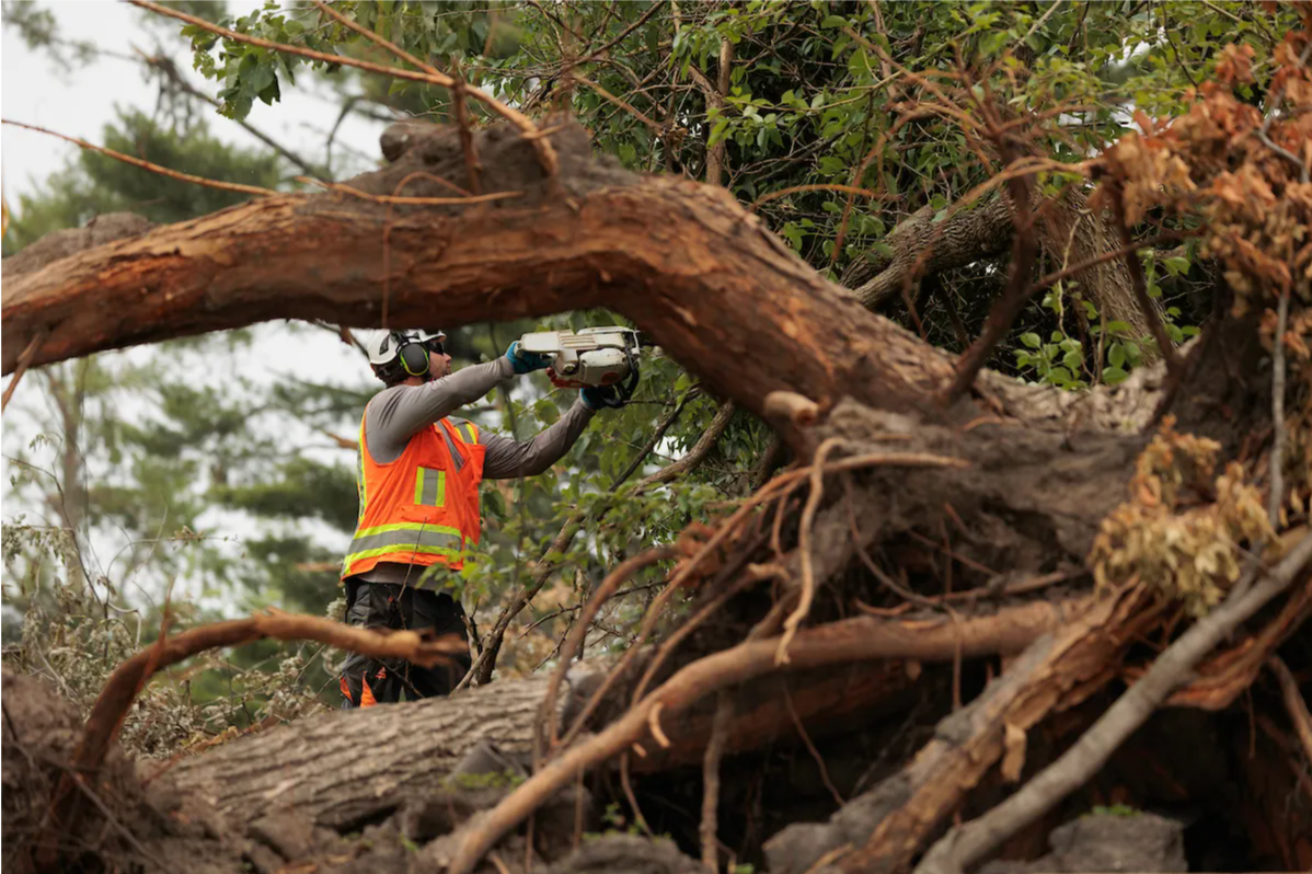 ͼ18 ԰���Ŷӳ�ԱЭ���������﹫԰��������Ӧ���������ֺ�.png