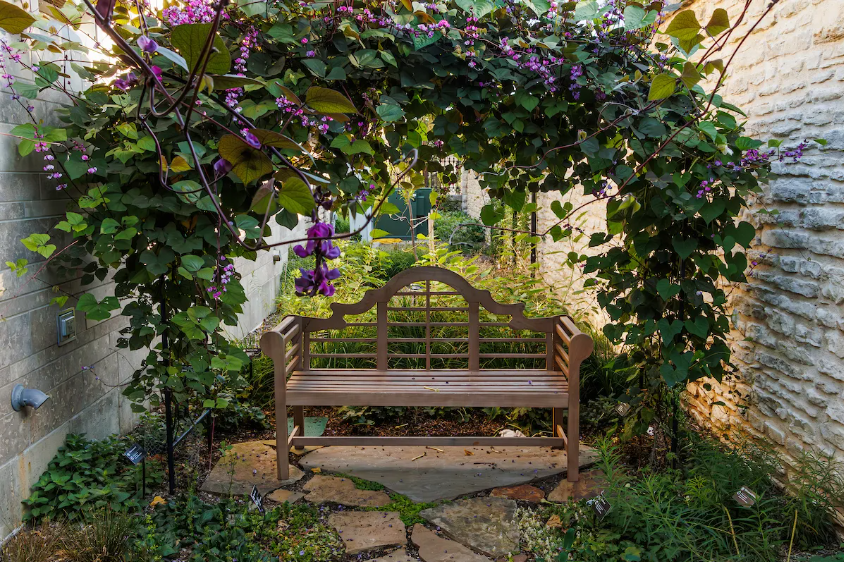 ͼ22 ���ܻ�԰Ӫ��Ī�η�񻨼ܺ�¬̩��˹����.png