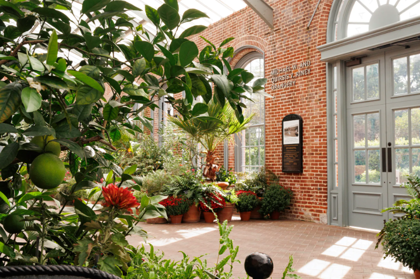 ͼ24 ���ιܷ��²��۽�ֲ��԰ֲ���ղ�.png