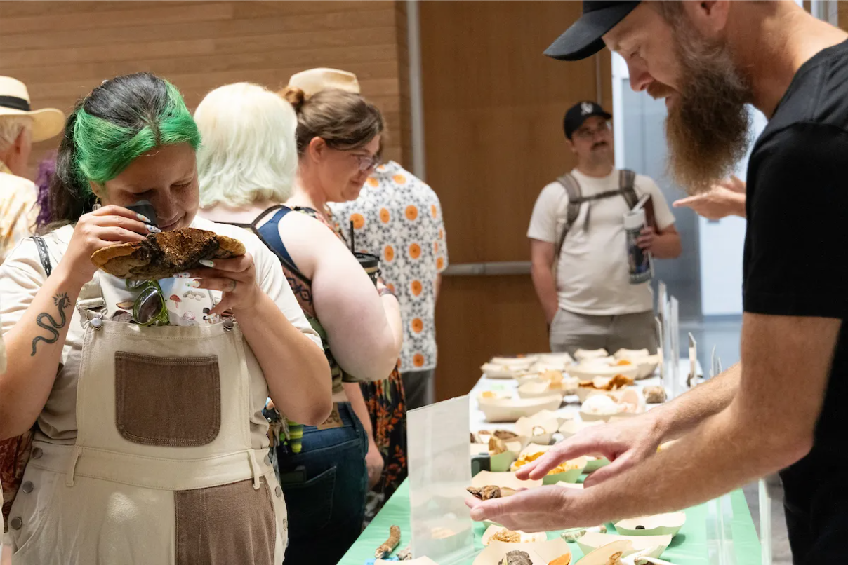 ͼ28 ֲ��԰�ο����������������ϸ�۲�����걾�Ķ�����.png