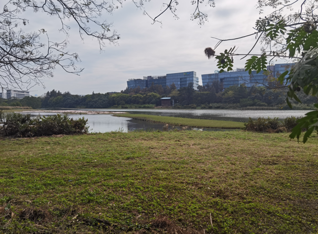深圳华侨城湿地公园10.jpg