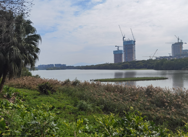 深圳华侨城湿地公园20.jpg