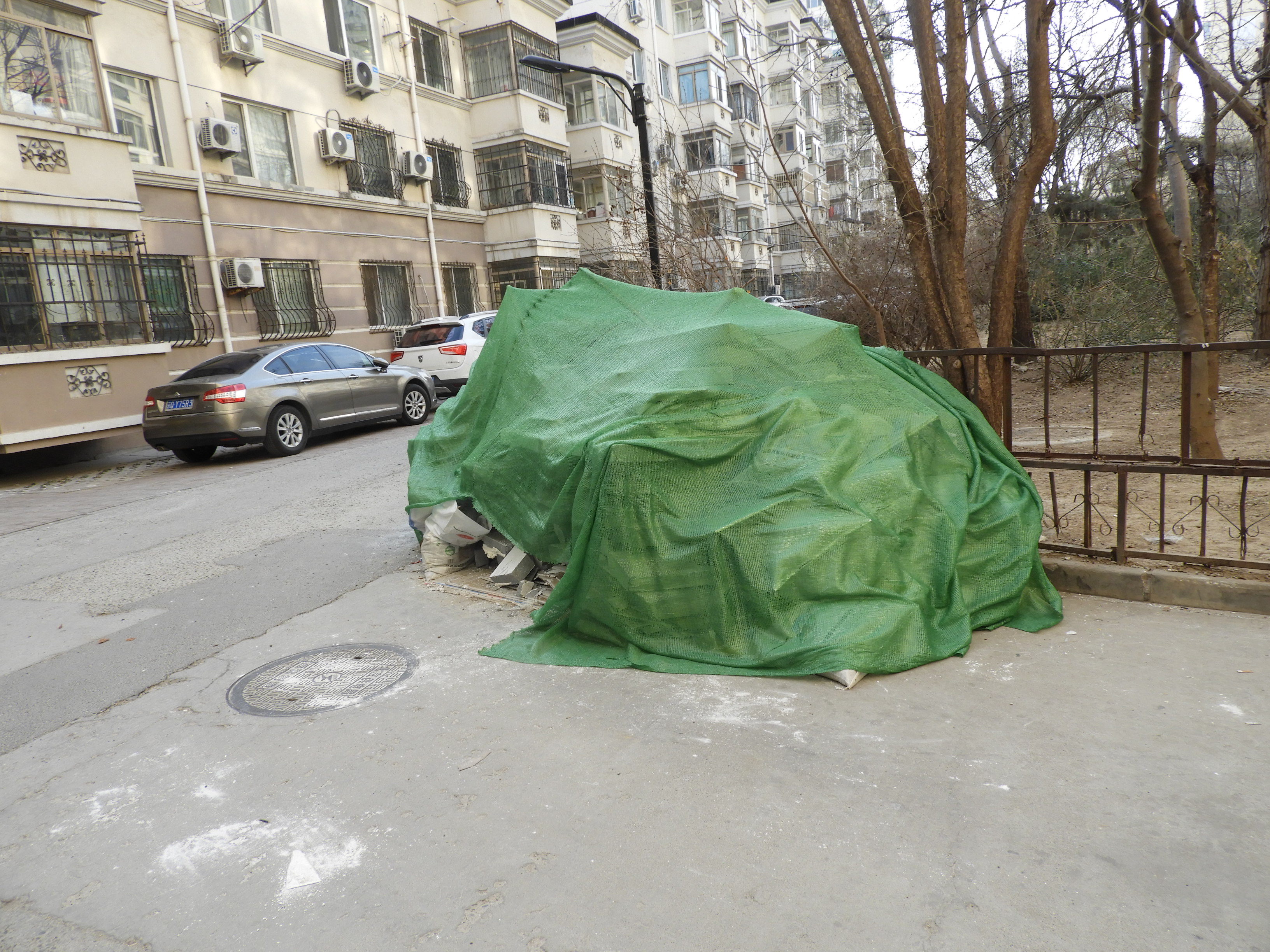 2026.1.4 DSCN3953.JPG