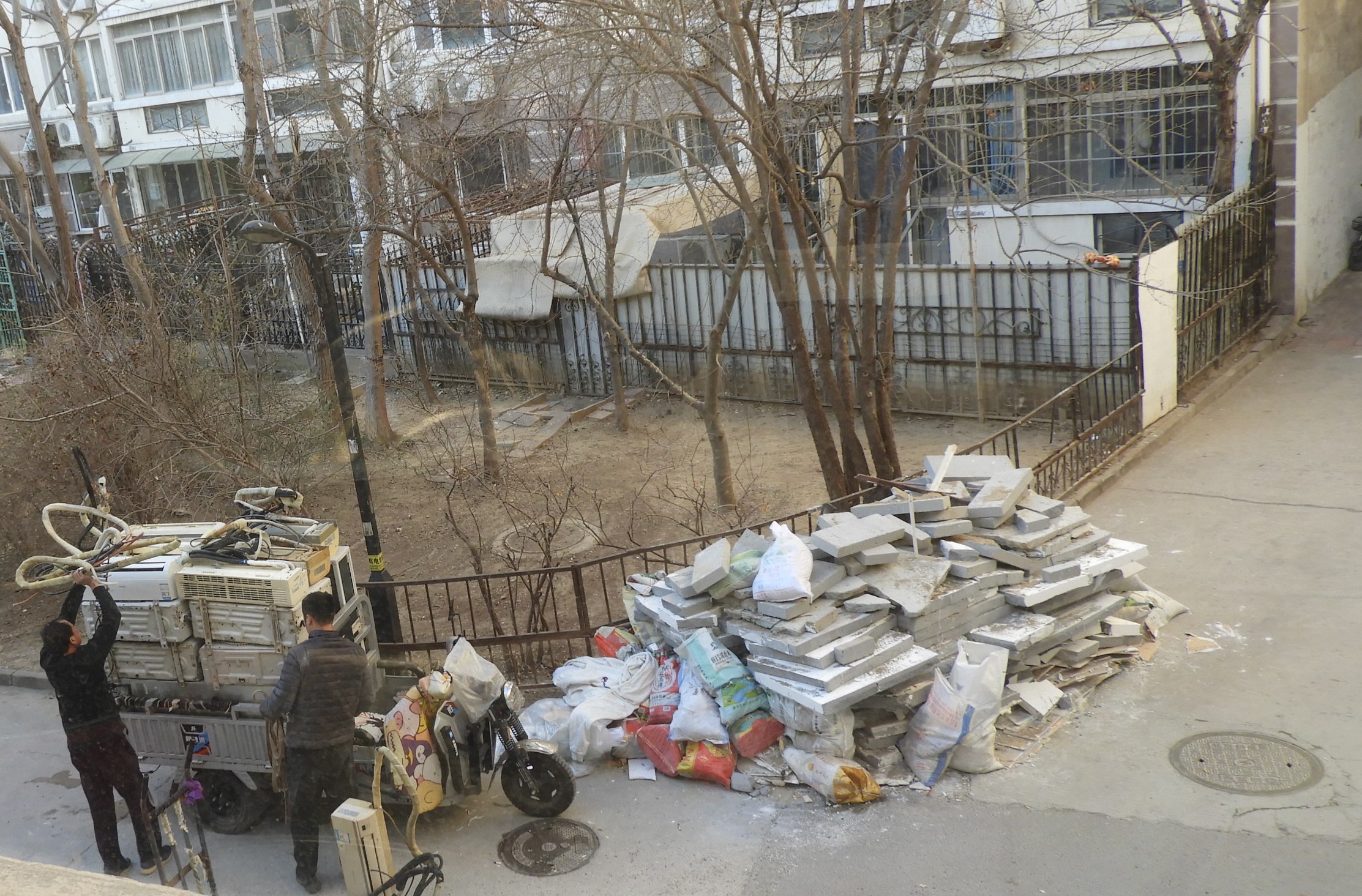 2026.1.2 DSCN3763.JPG